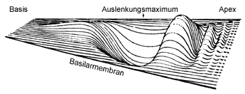 [Abb. 2.14] Augenblickszustand der Wanderwelle